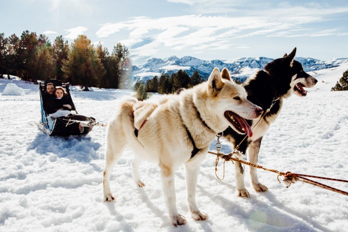 mariage hiver dans la neige chiens de traineaux Beille (Ariège)