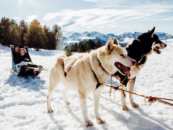 mariage hiver dans la neige chiens de traineaux Beille (Ariège)