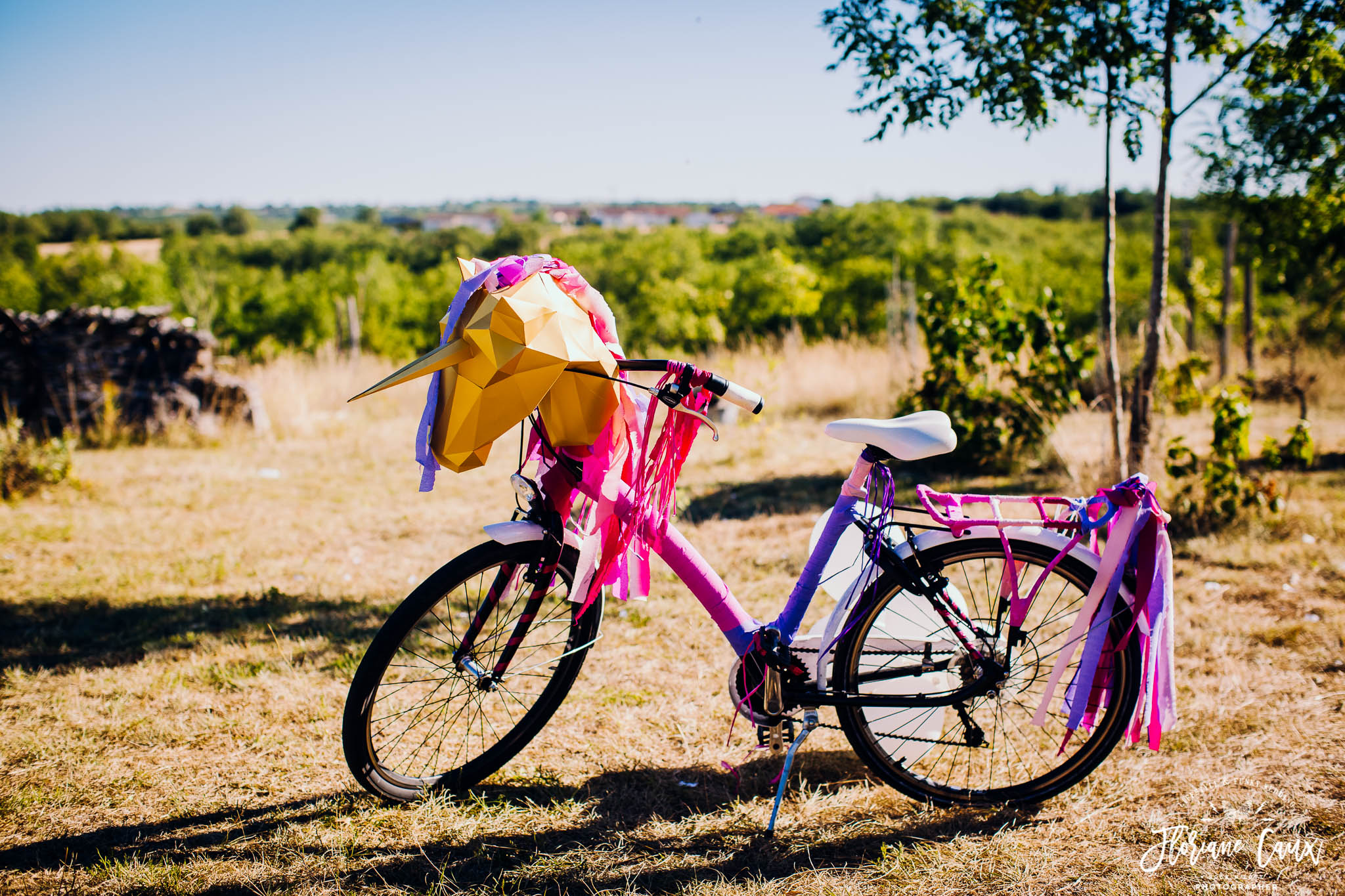 mariage-festival-cahors-ceremonie-laique-velo-licorne-7