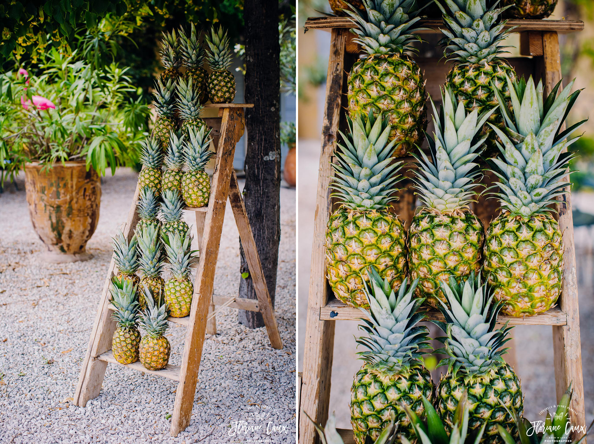 déco ananas pour mariage tropicool à avignon Domaine de Blanche Fleur