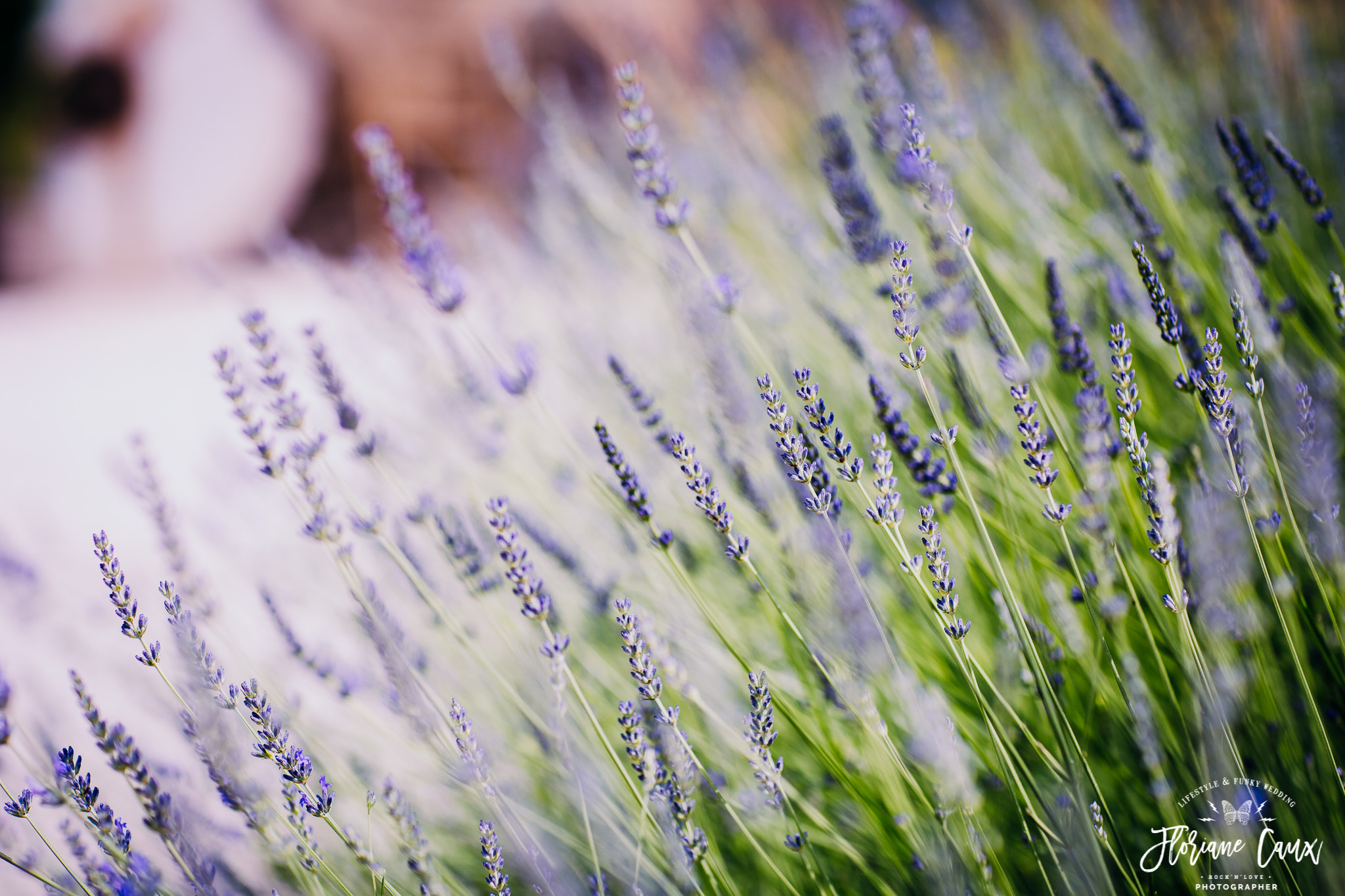 mariage-tropicool-avignon-domaine-blanche-fleur-8