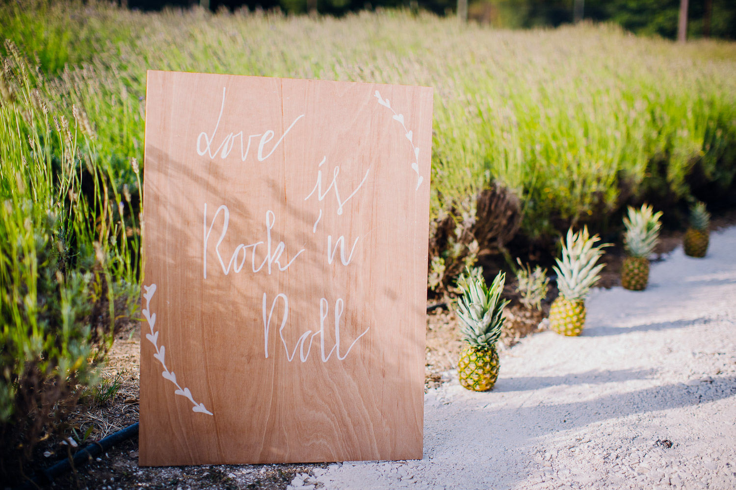 destination-wedding-photographer-mas-de-so-gard-42