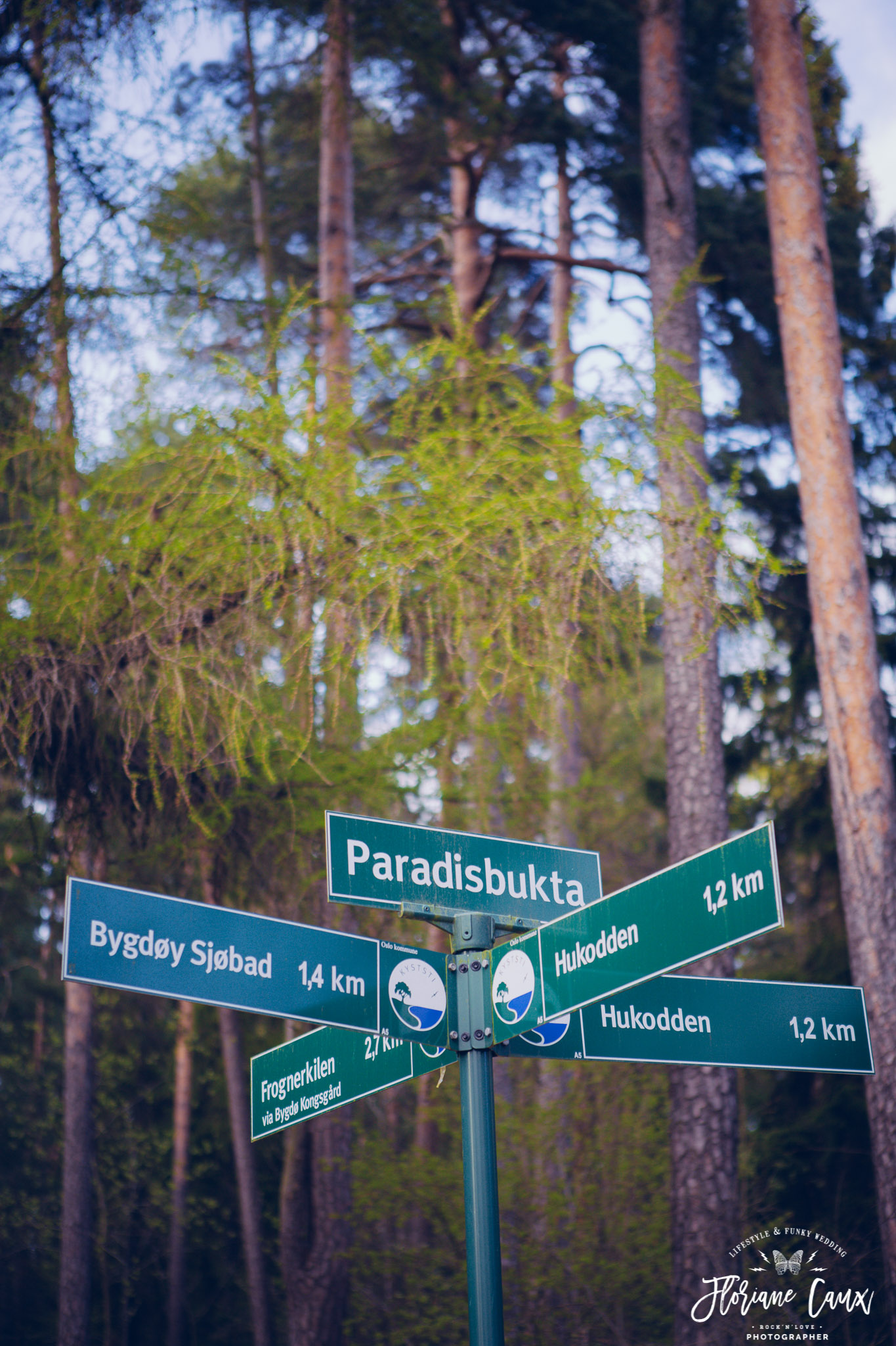 destination-wedding-photographer-oslo-norway-floriane-caux-80
