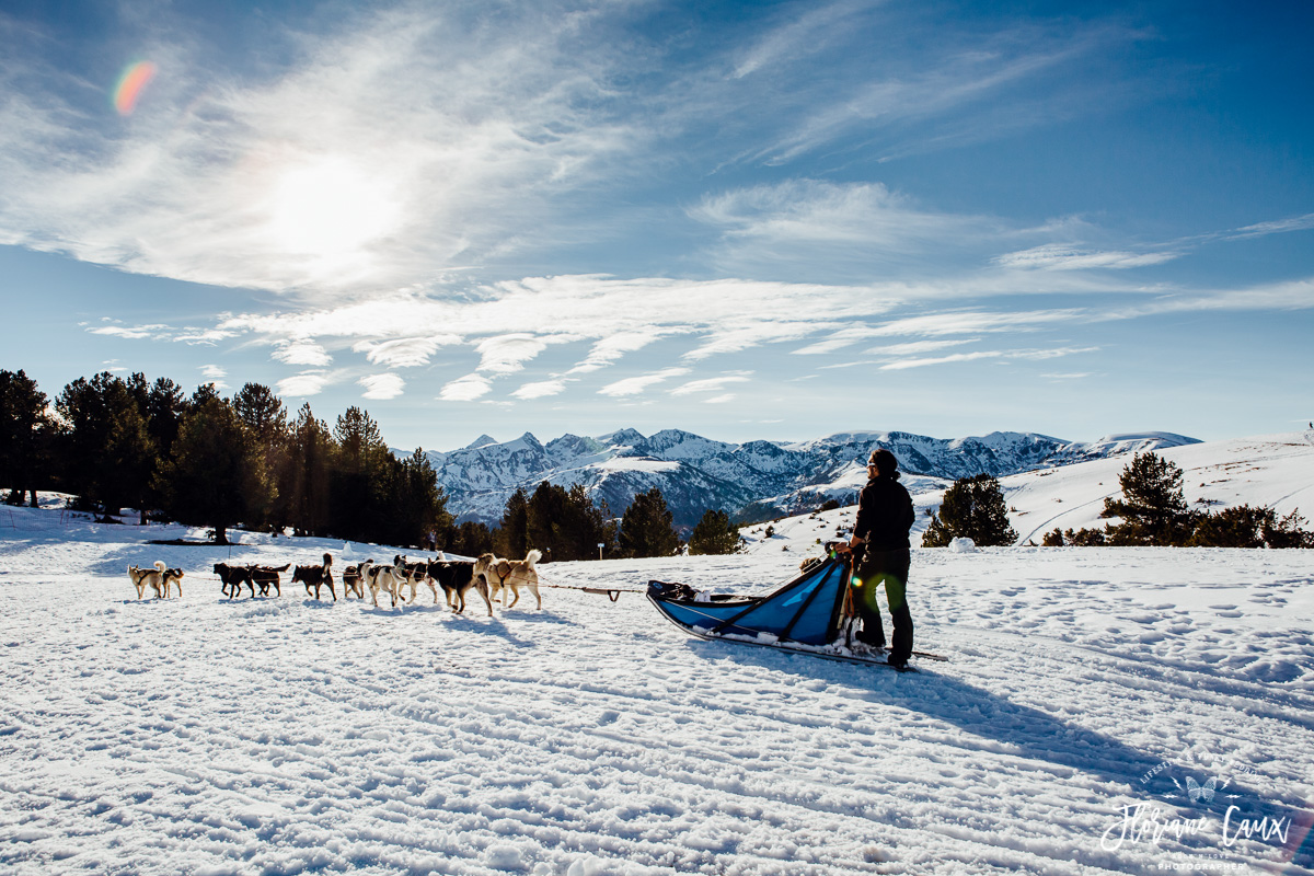 mariage neige chiens de traîneaux dans les pyrénées ariégeoises
