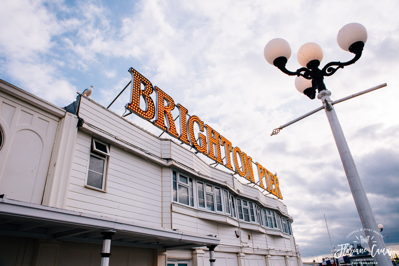 Brighton-wedding-photographer (39)