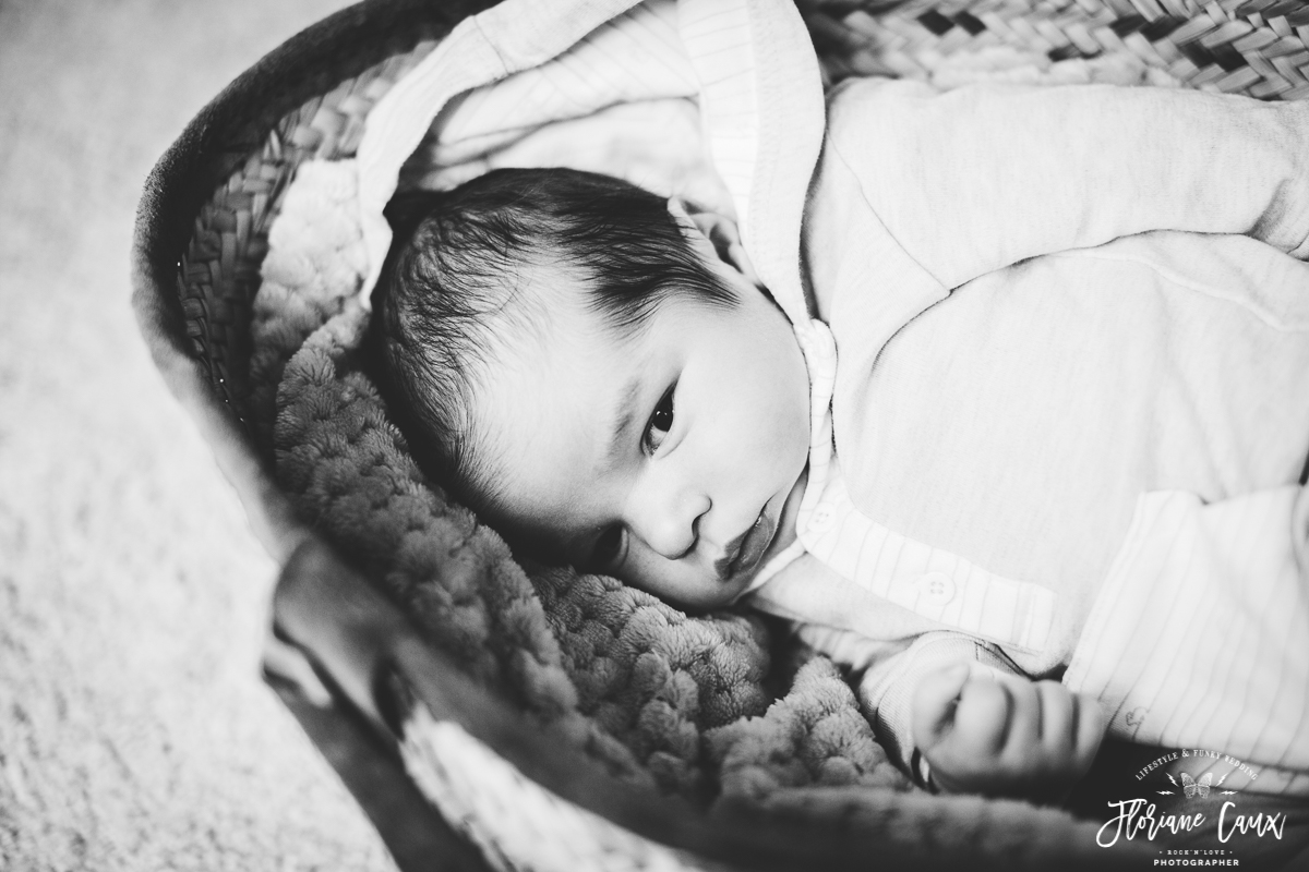 photographe bébé toulouse albi