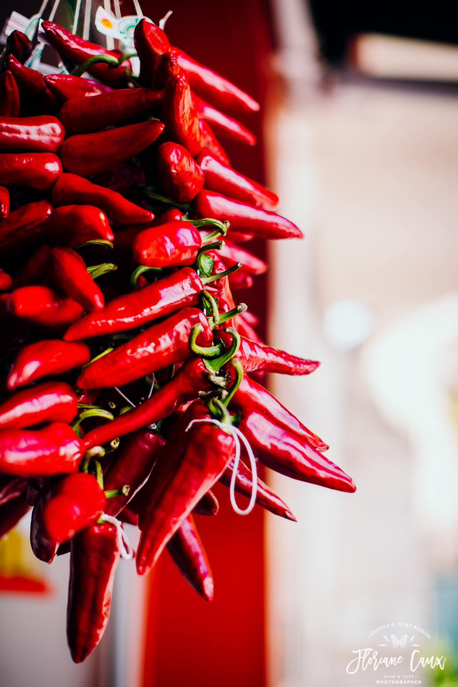 piment d'espelette saint jean de luz