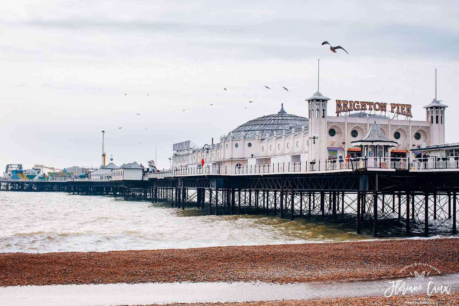 brighton-wedding-photographer-engagement-session (46)