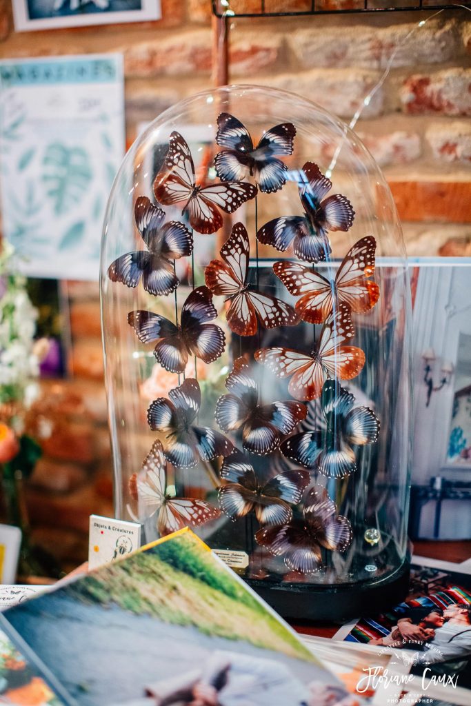 déco mariage cabinet de curiosité à Toulouse