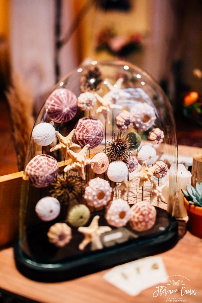 déco mariage cabinet de curiosité