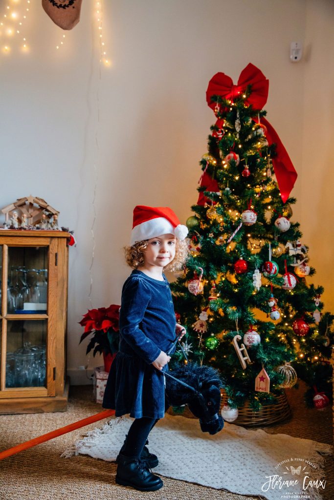 seance photo famille noël